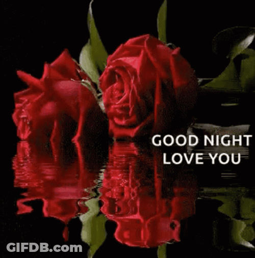 Good Night Love You Red Roses Water Reflection GIF