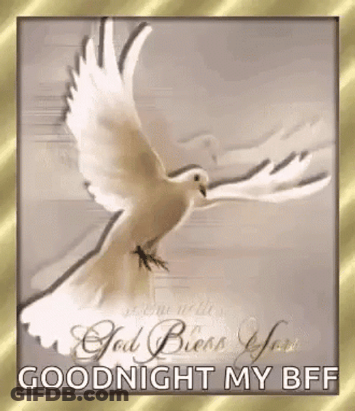 Good Night My Friend And God Bless GIF
