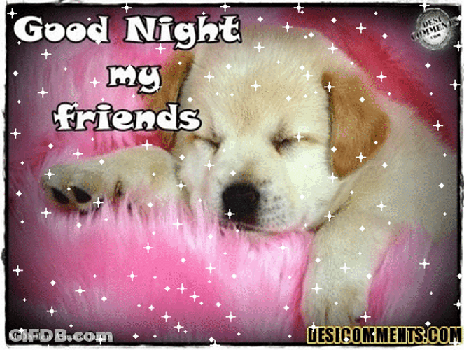 Good Night My Friends Sleeping Puppy GIF