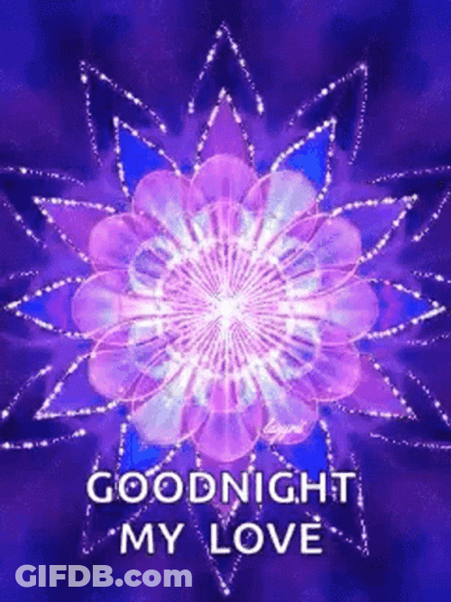 Good Night My Love Dazzling Flower GIF