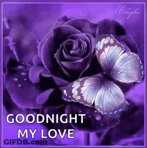 Good Night My Love Flapping Purple Butterfly GIF