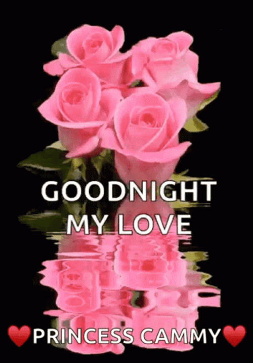 Good Night My Love Princess Cammy Roses GIF