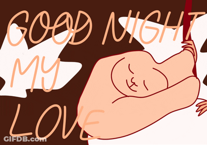 Good Night My Love Sleeping Sticker GIF