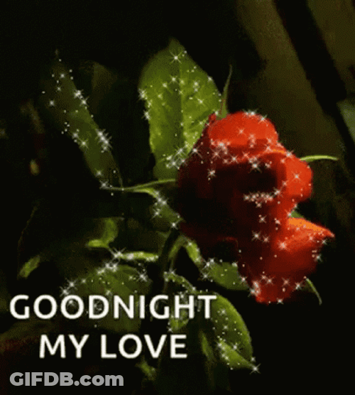 Good Night My Love Sparkling Red Rose GIF