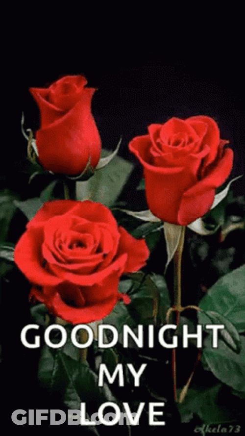 Good Night My Love Three Red Roses GIF