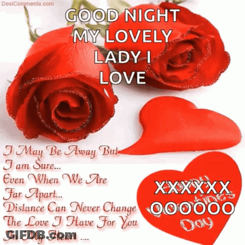 Good Night My Lovely Lady I Love I May Be Away But I Am Sure Even When We Are Our Apart Distance Can Never Change GIF