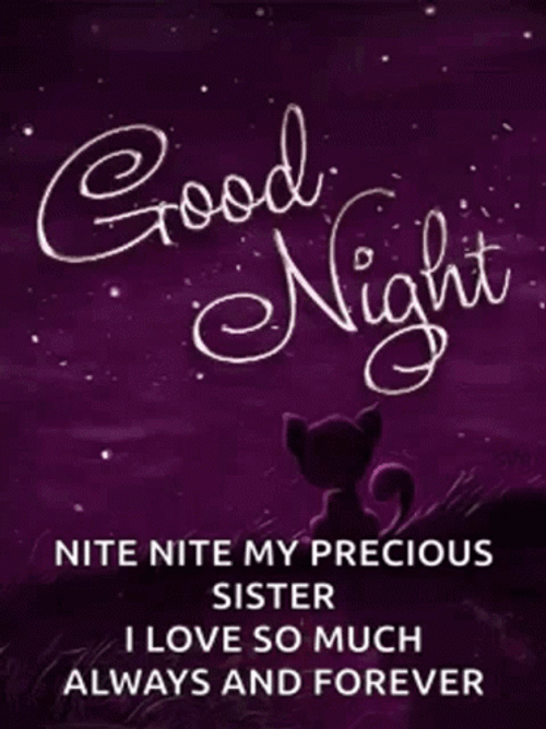 Good Night My Precious Sister GIF