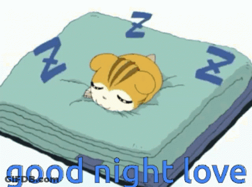 Good Night Night GIF