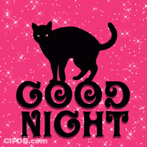 Good Night Pink Black Cat GIF