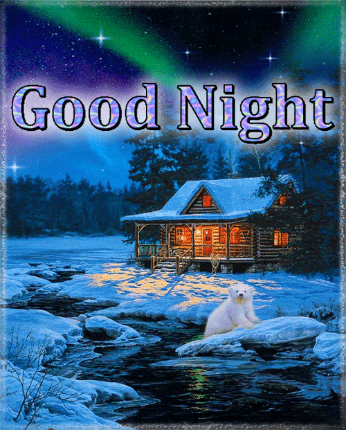 Good Night Polar Bear Outside GIF