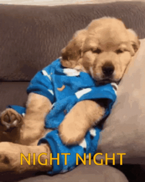 Good Night Puppy Yawn GIF