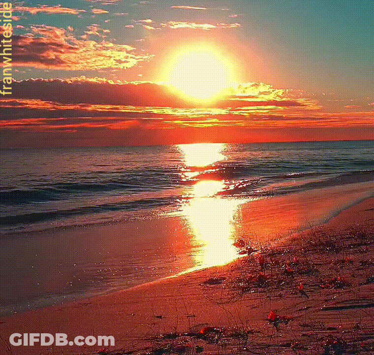 Good Night Red Sunset On Beach GIF