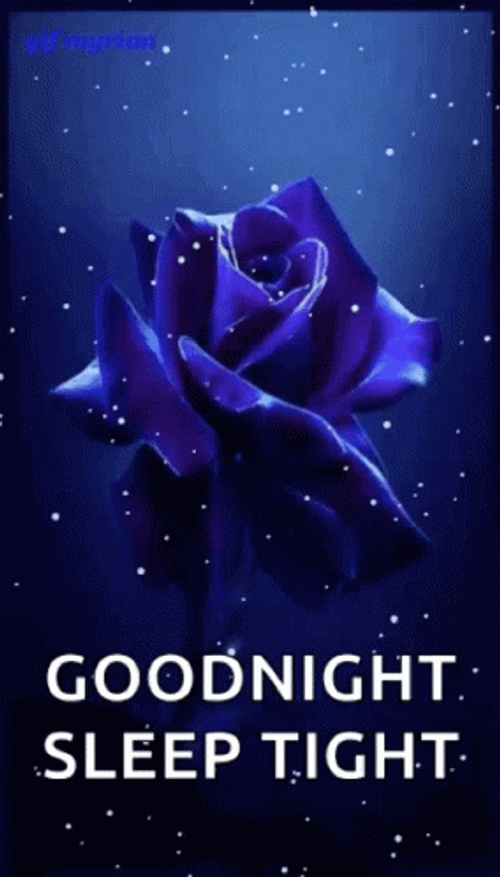 Good Night Sleep Tight Blue Rose Snow Glitters GIF