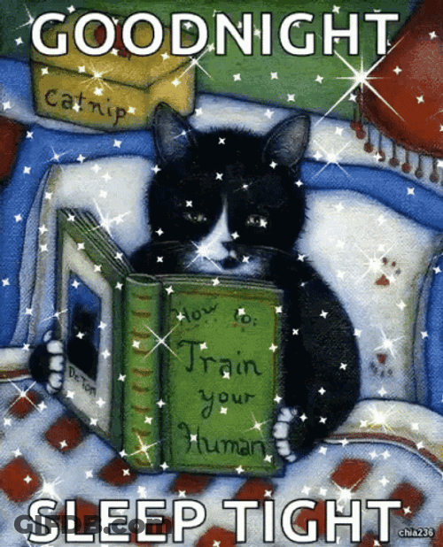 Good Night Sleep Tight Cat Reading Book  Bed GIF