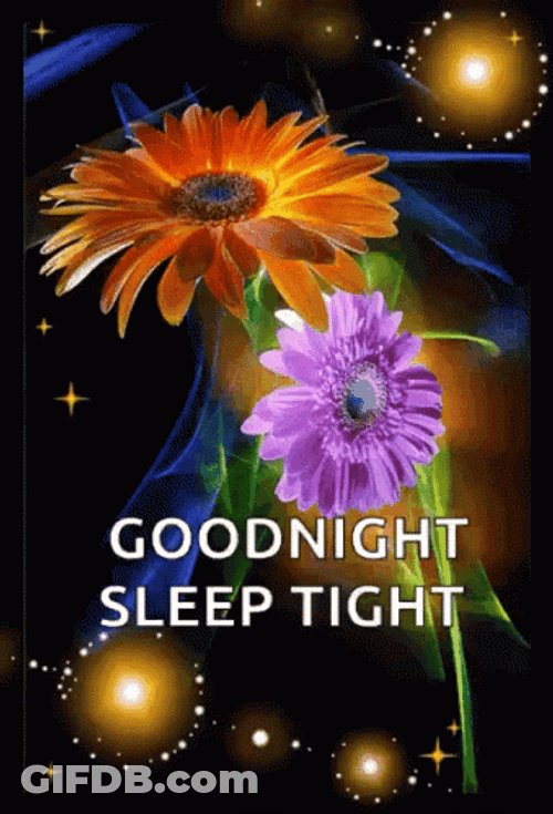 Good Night Sleep Tight Flower Change Color Lights GIF