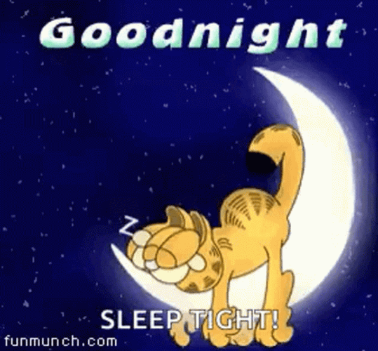 Good Night Sleep Tight Garfield Sleeping On Moon GIF