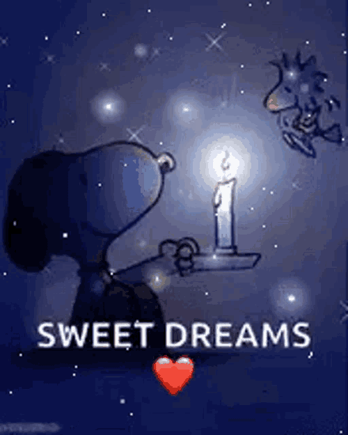 Good Night Sleep Tight GIF