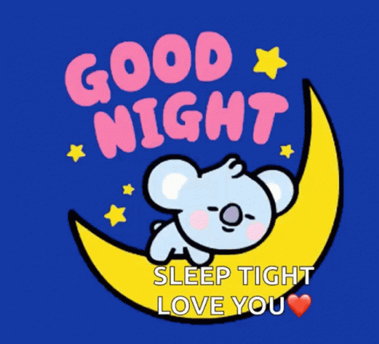 Good Night Sleep Tight Koala Sleeping On Moon GIF