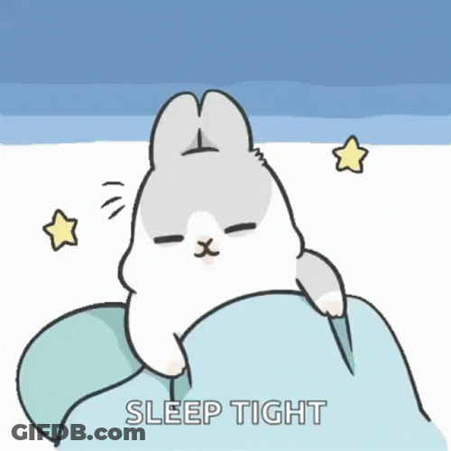 Good Night Sleep Tight Rabbit Bunny Blanket GIF