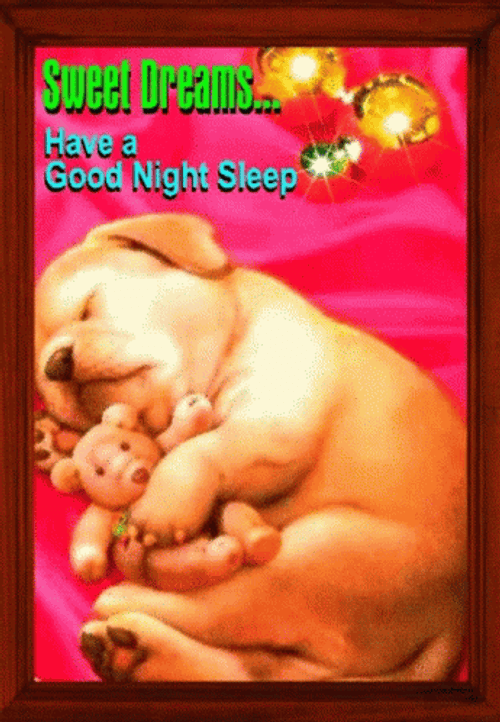 Good Night Sleep Tight Sweet Dreams Dog Toy GIF