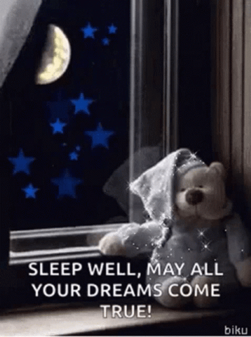 Good Night Sleep Tight Your Dreams Come True GIF