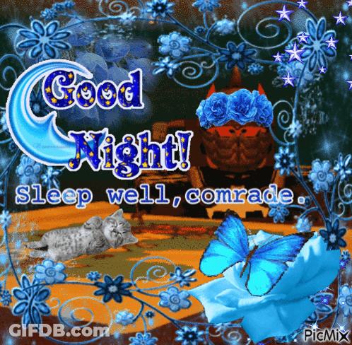 Good Night Sleep Well Comrade Flowers And Butterflies GIF
