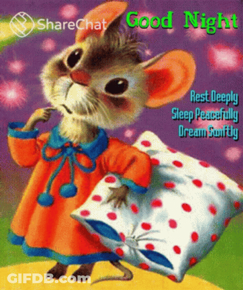 Good Night Sleep Well Cute Mouse GIF