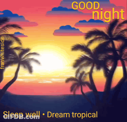 Good Night Sleep Well Dream Tropical Poster GIF