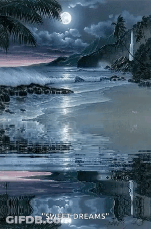 Good Night Sleep Well Greeting Card Beach Full Moon GIF
