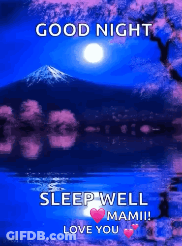 Good Night Sleep Well Mami ! Love You ! GIF