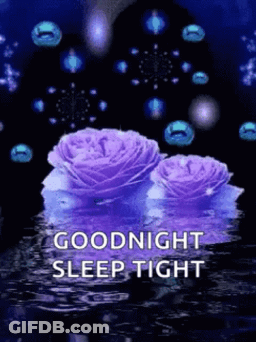 Good Night Sleep Well Two Roses GIF