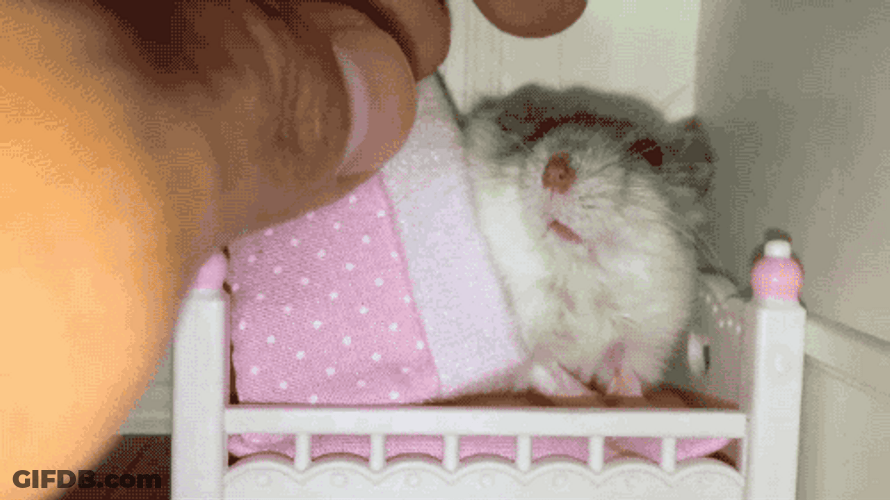 Good Night Sleepy Mouse GIF