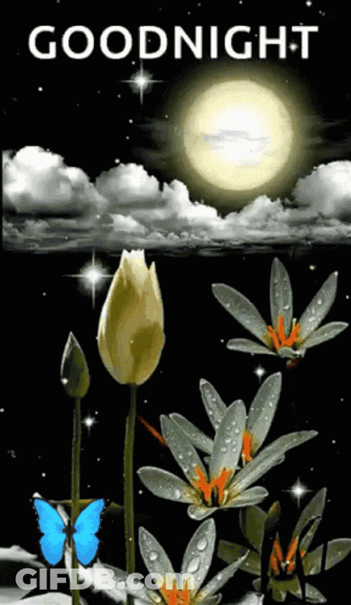 Good Night Starry Skies Flower GIF