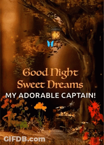 Good Night Sweet Dreams Adorable Captain GIF