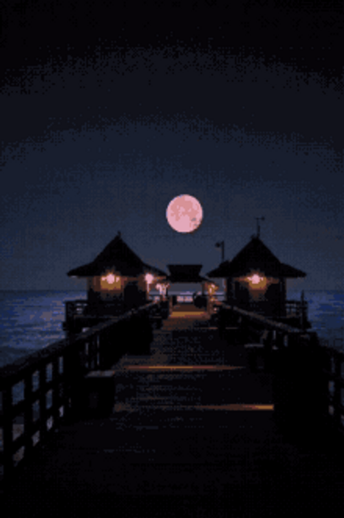 Good Night Sweet Dreams Beach Front GIF