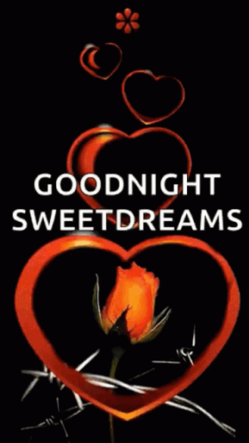 Good Night Sweet Dreams Blooming Rose GIF