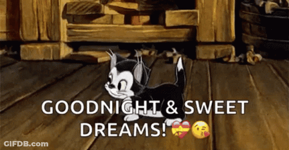 Good Night Sweet Dreams Kitten Figaro GIF