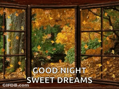 Good Night Sweet Dreams Window GIF