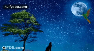Good Night Sweet Dreams Wolf Howling GIF