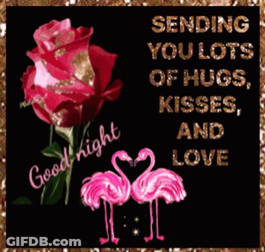 Good Night Sweetheart Flamingo GIF