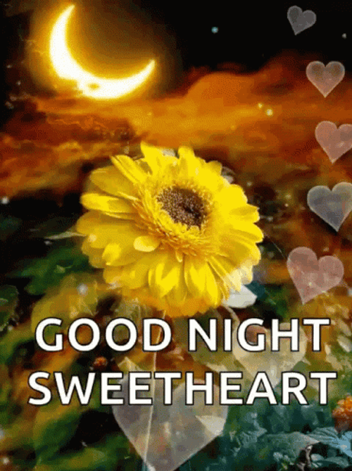 Good Night Sweetheart Sunflower Bubble Hearts GIF
