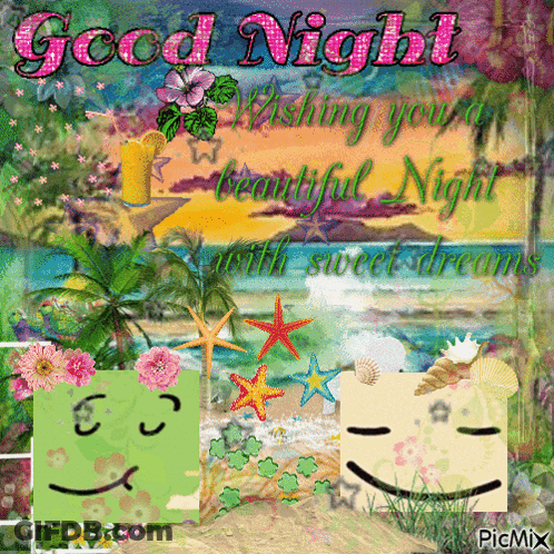 Good Night Wishing You Sweet Dreams Beach GIF