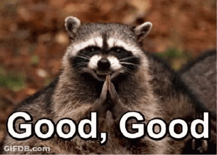 Good Raccoon Scheming GIF