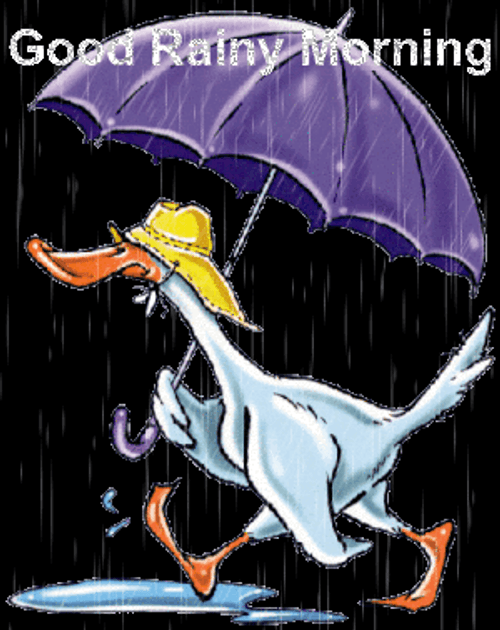 Good Rainy Morning Tuesday GIF