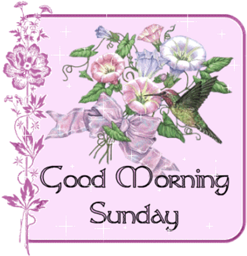Good Sunday Morning Aesthetic Flowers GIF