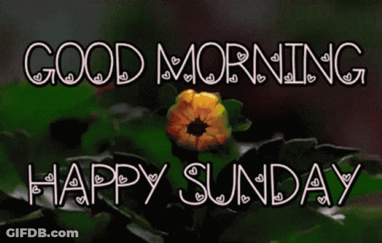 Good Sunday Morning Blooming Flower GIF