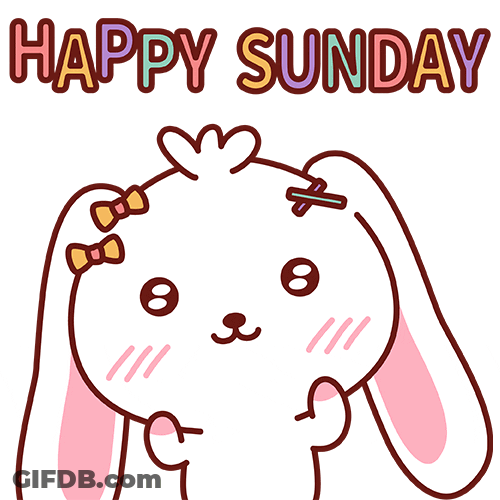 Good Sunday Morning Cute Bunny GIF
