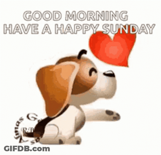 Good Sunday Morning Dog Flying Kiss GIF
