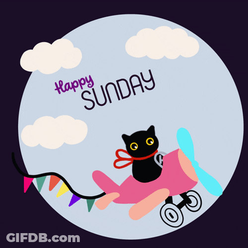 Good Sunday Morning Flying Cat GIF