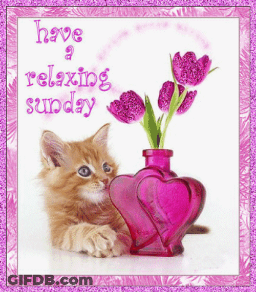 Good Sunday Morning Pink Theme GIF